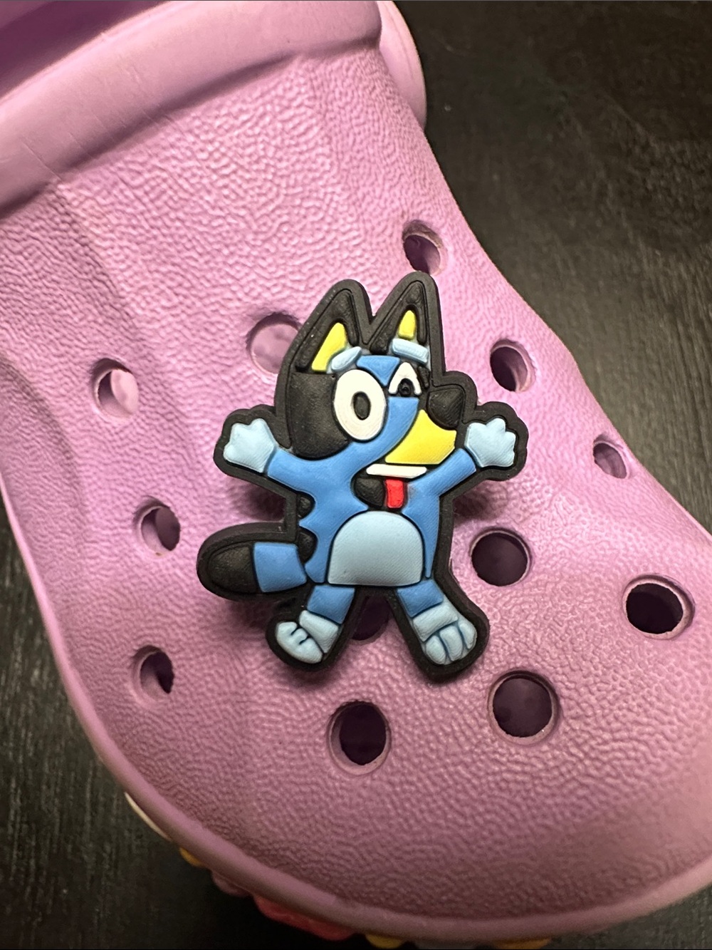 Shoe Charm - Bluey Character Jibbitz